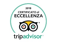 tripadvisor